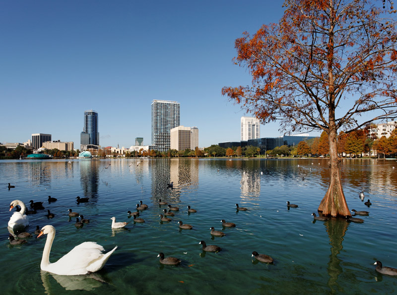 Orlando Skyline with Lake Eola